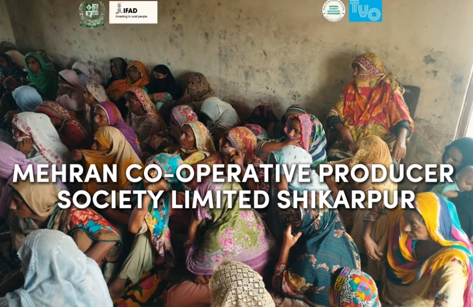 TVO Poverty Graduation Model